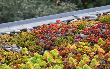 the cost of Hornsby green roof installation