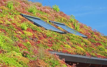 Hornsby living roof systems